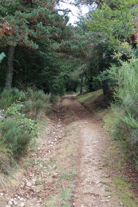 2024_09_05 De Langogne à La Bastide-Puylaurent, IMG_7561 La montée vers le Sommet d’Espervelouze