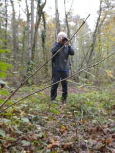 les Minières le 14 novembre 2024, P1080219