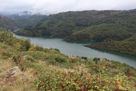 2024_09_07 De la Garde-Guérin à Villefort, IMG_7753 La descente vers le lac de Villefort, Morangies