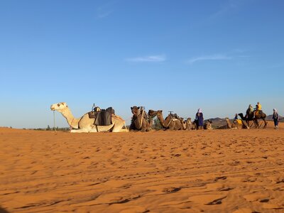 2024_Maroc, 20241020_175428-min