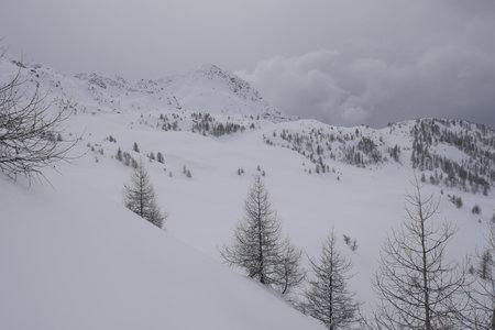 2018-03-18-21-ski-freerando-vatournenche, alpes-aventure-ski-freerando-chamois-valtournenche-2018-03-18-08