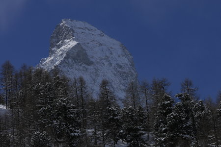 2018-03-18-21-ski-freerando-vatournenche, alpes-aventure-ski-hors-pistes-zermatt-cervin-2018-03-20-051
