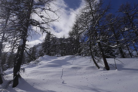 2019-02-01-04-ski-puy-saint-vincent, puy-saint-vincentski-freerando-alpes-aventure-2019-02-0306