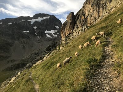 2019-08-10-17-grand-tour-des-ecrins, grand-tour-des-ecrins-muzelle-lauvitel-alpes-aventure-05