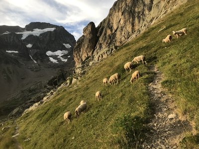 2019-08-10-17-grand-tour-des-ecrins, grand-tour-des-ecrins-muzelle-lauvitel-alpes-aventure-06