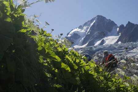 2019-09-02-08-mont-blanc, ecole-de-glace-glacier-du-tour-alpes-aventure-2019-09-03-012