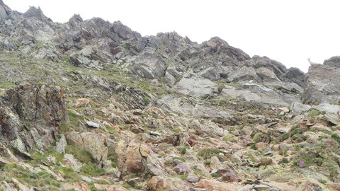 2020-06-20-28-mont-blanc, 2020-06-26-alpes-aventure-refuge-de-tete-rousse-04