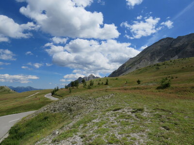 Cols Allos-des Champs-Cayolle, IMG_6768